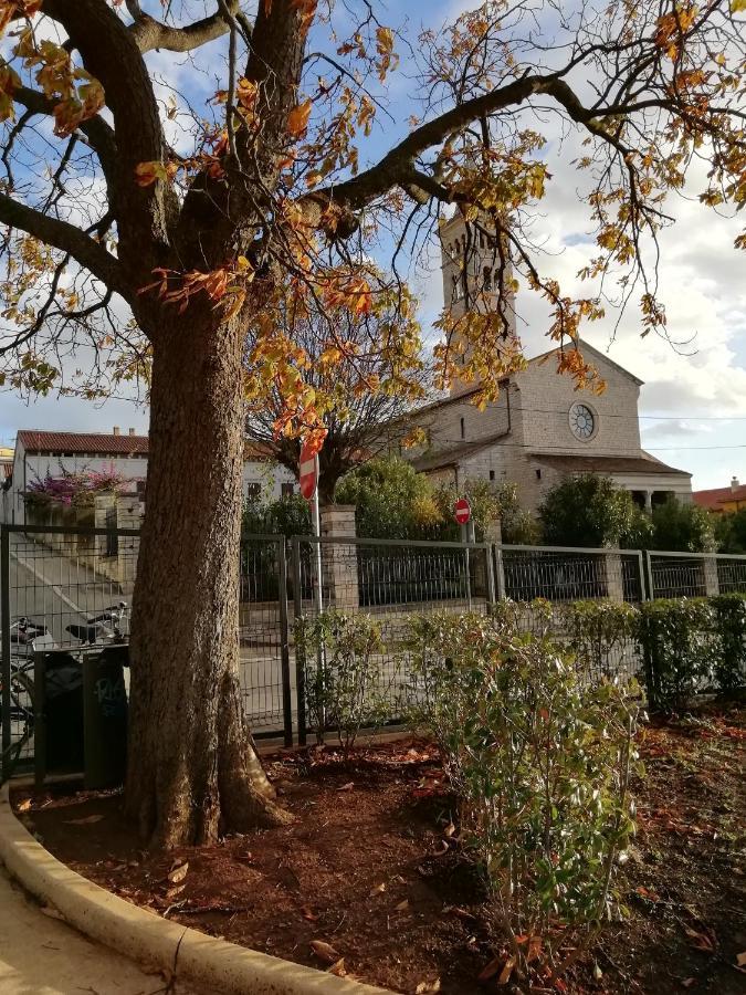 Apartments Jadranka Ivana بولا المظهر الخارجي الصورة