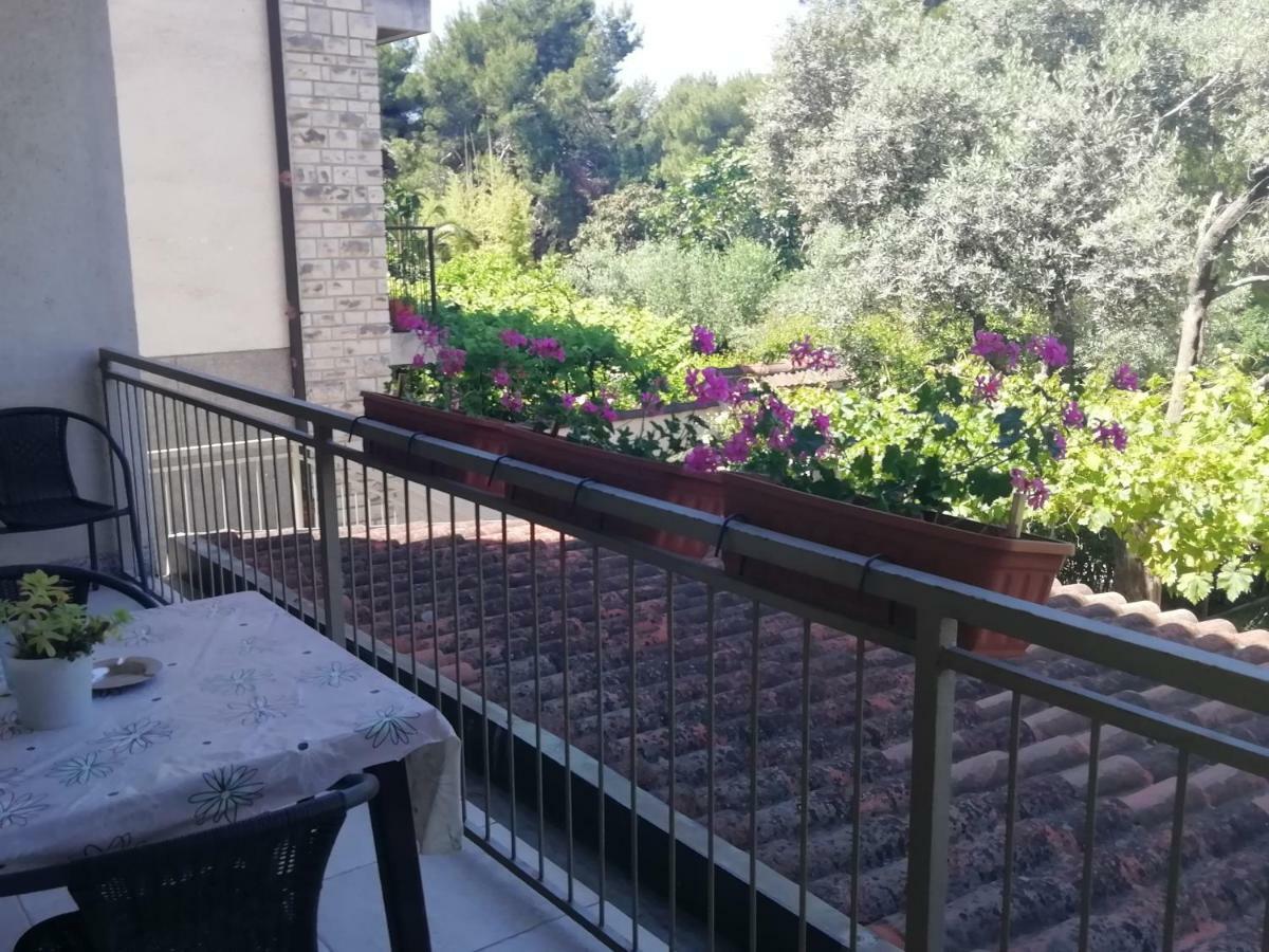 Apartments Jadranka Ivana بولا المظهر الخارجي الصورة